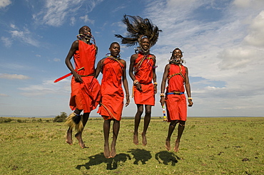 Masai performing warrior dance, Masai Mara, Kenya, East Africa, Africa