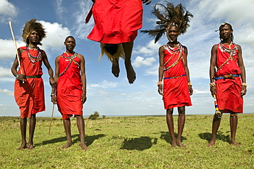 Masai performing warrior dance, Masai Mara, Kenya, East Africa, Africa