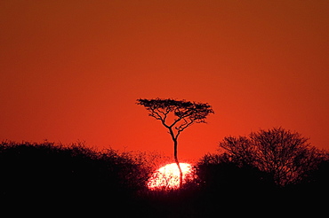 Sunset, Deception Valley, Central Kalahari Game Reserve, Botswana, Sgtivs