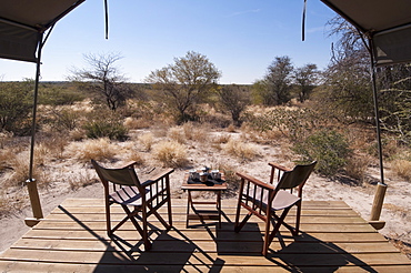 Kalahari Plains Camp, Deception Valley, Central Kalahari Game Reserve, Botswana, Africa