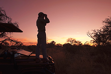 Abu Camp, Okavango Delta, Botswana, Africa