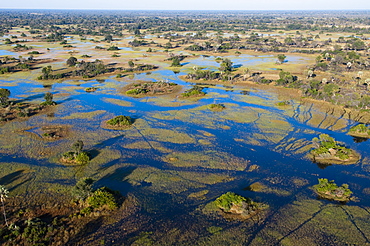 Aerial view of Okavango Delta, Botswana, Africa