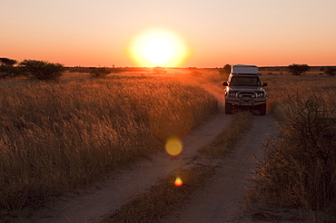 Deception Valley, Central Kalahari Game Reserve, Botswana, Africa