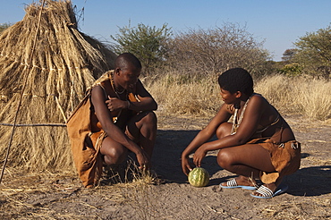 Kalahari Plains Camp, Deception Valley, Central Kalahari Game Reserve, Botswana, Africa