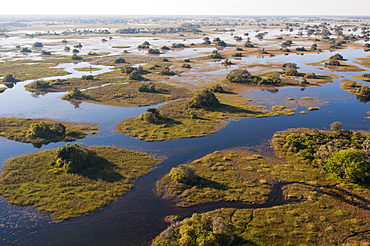 Aerial view of Okavango Delta, Botswana, Africa