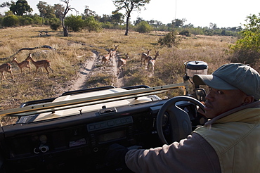 Savute Channel, Linyanti, Botswana, Africa