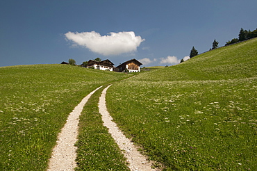 Santa Maddalena, Funes Valley (Villnoss), Dolomites, Trentino Alto Adige, South Tyrol, Italy, Europe