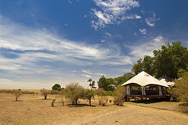 Mara Plains Tented Camp, Masai Mara, Kenya., East Africa, Africa