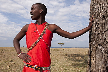 Masai man, Masai Mara, Kenya, East Africa, Africa