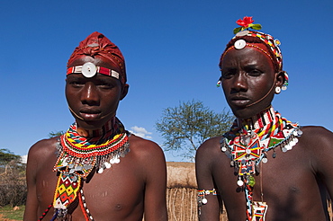 Samburu tribesmen, Loisaba Wilderness Conservancy, Laikipia, Kenya, East Africa, Africa