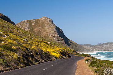 Empty road to Cape of Good Hope, Cape Town, South Africa, Africa