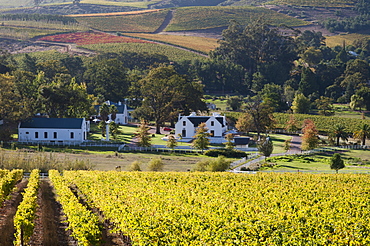 Zorgvliet Wine Estate, Stellenbosch, Cape Province, South Africa, Africa