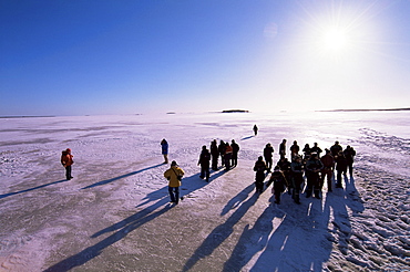 People walking on pack ice, Gulf of Bothnia, Lapland, Sweden, Scandinavia, Europe