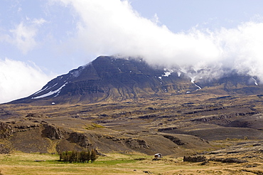 Berufjordur fjord, South coast, Iceland, Polar Regions