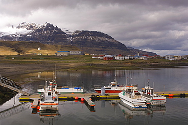 Grundarfjordur, Snaefellsnes Peninsula, Iceland, Polar Regions