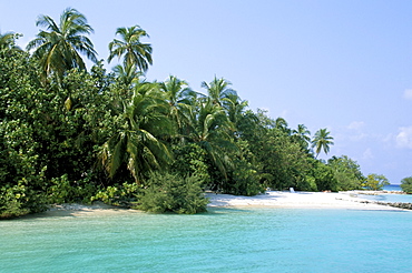 Asdu Island, North Male Atoll, Maldives, Indian Ocean, Asia