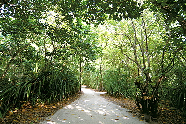 Soneva Fushi Resort, Kunfunadhoo Island, Baa Atoll, Maldives, Indian Ocean, Asia