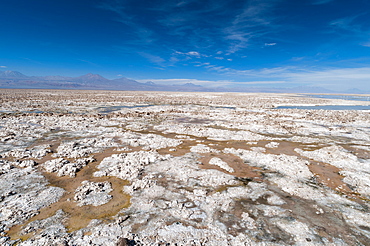 Salt crust, Salar de Atacama, Atacama Desert, Chile, South America