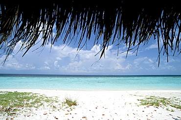 Mendu Island, Baa Atoll, Maldives, Indian Ocean, Asia