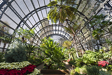 Botanical Building, Balboa Park, San Diego, California, United States of America, North America