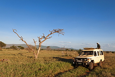 Lualenyi Game Reserve, Kenya, East Africa, Africa