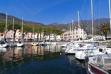 Bogliaco, Lake Garda, Lombardy, Italian Lakes, Italy, Europe