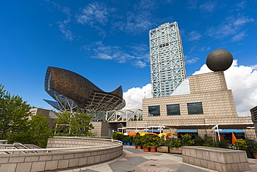 Golden fish by Frank Owen Gehry and Hotel Arts, Olympic Harbour, La Barceloneta district, Barcelona, Catalonia, Spain, Europe