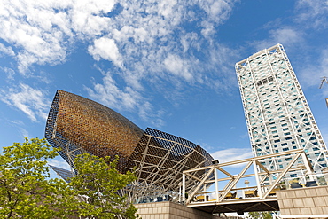 Golden fish by Frank Owen Gehry and Hotel Arts, Olympic Harbour, La Barceloneta district, Barcelona, Catalonia, Spain, Europe