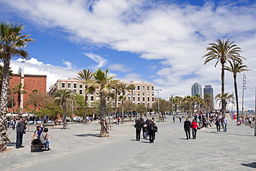 La Barceloneta, Barcelona, Catalonia, Spain, Europe