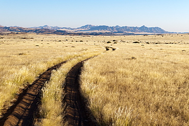 Huab River Valley, Torra Conservancy, Damaraland, Namibia, Africa