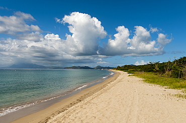 Pinney's beach, Nevis, St. Kitts and Nevis, West Indies, Caribbean, Central America