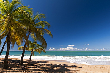 La Perle Beach, Deshaies, Basse-Terre, Guadeloupe, French Caribbean, France, West Indies, Central America