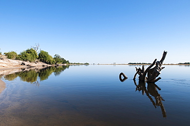 Chobe River, Chobe National Park, Botswana, Africa 