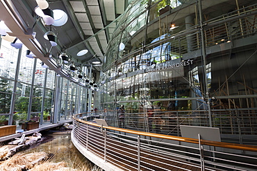 California Academy of Sciences, Golden Gate Park, San Francisco, California, United States of America, North America