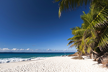 Anse Victorin, Fregate Island, Seychelles, Indian Ocean, Africa