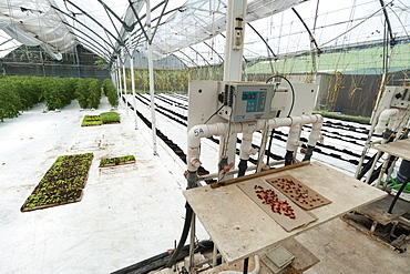 Hydroponics House, Fregate Island Resort, Seychelles, Africa