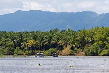 Sierpe River, Osa Peninsula, Costa Rica, Central America 