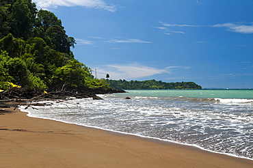 Osa Peninsula, Costa Rica, Central America 