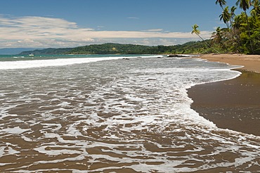 Osa Peninsula, Costa Rica, Central America 