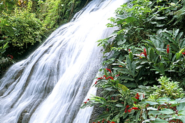 Shaw waterfalls, Ocho Rios, Jamaica, West Indies, Central America