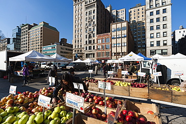 Friday market in Union Square, New York City, United States of America, North America