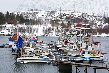 Austnes fjord, Lofoten Islands, Arctic, Norway, Scandinavia, Europe