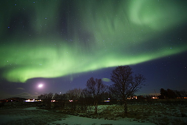 Northern Lights (aurora borealis), Laukvik, Nordland, Norway, Scandinavia, Europe