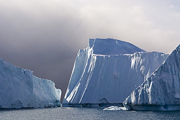 Icebergs in Ilulissat icefjord, UNESCO World Heritage Site, Greenland, Denmark, Polar Regions