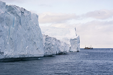 Icebergs in Ilulissat icefjord, UNESCO World Heritage Site, Greenland, Denmark, Polar Regions