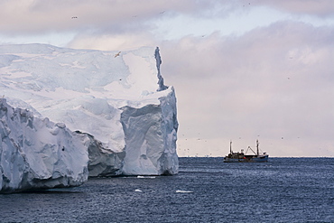 Icebergs in Ilulissat icefjord, UNESCO World Heritage Site, Greenland, Denmark, Polar Regions