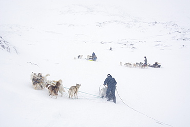 Dog sledge, Greenland, Denmark, Polar Regions