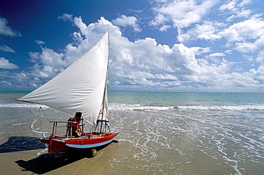 Maracajau, Natal, Rio Grande do Norte state, Brazil, South America