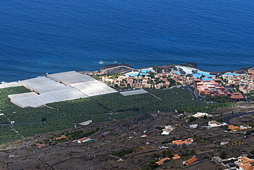 Banana plantations, El Remo, La Palma Island, Canary Islands, Spain, Atlantic, Europe