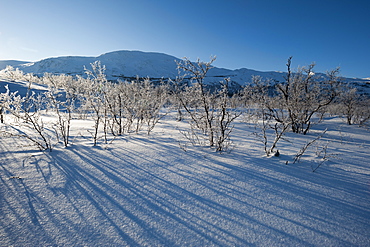 A frozen landscape near Kiruna, Sweden, Scandinavia, Europe